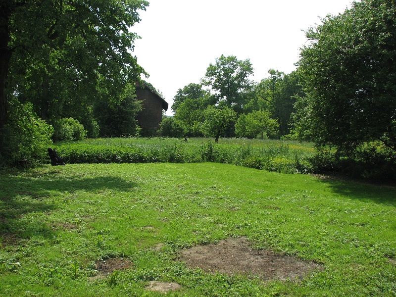 Malowniczy krajobraz: zielony trawnik, drzewa, łąka z dziką roślinnością i stary budynek w tle, w słoneczny dzień.